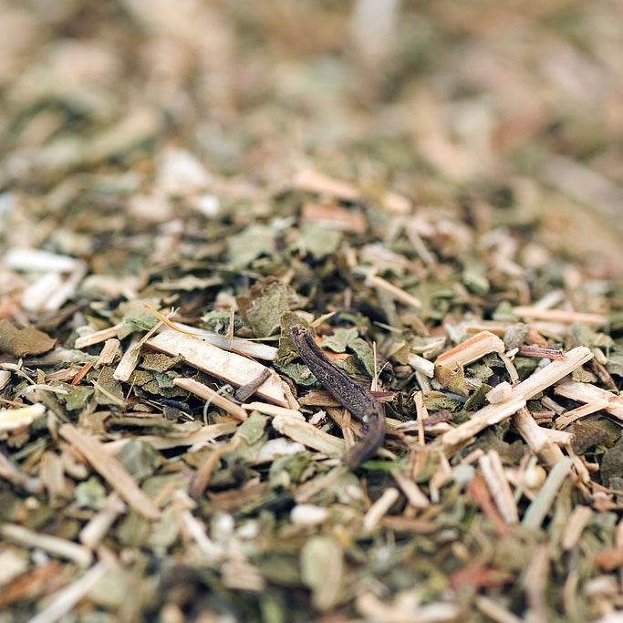 Natural Catnip Collection