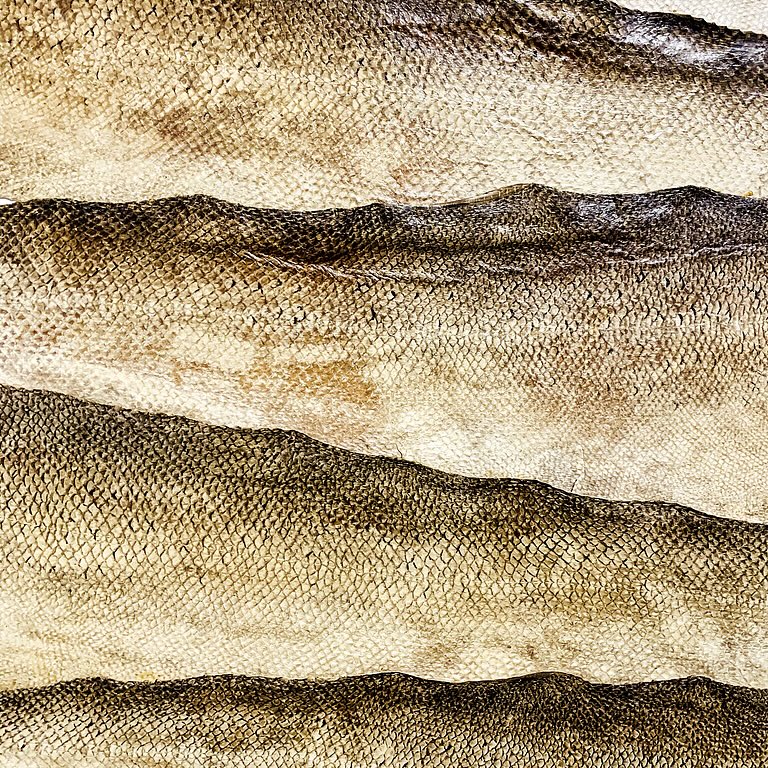 Natural Fish Skin Collection