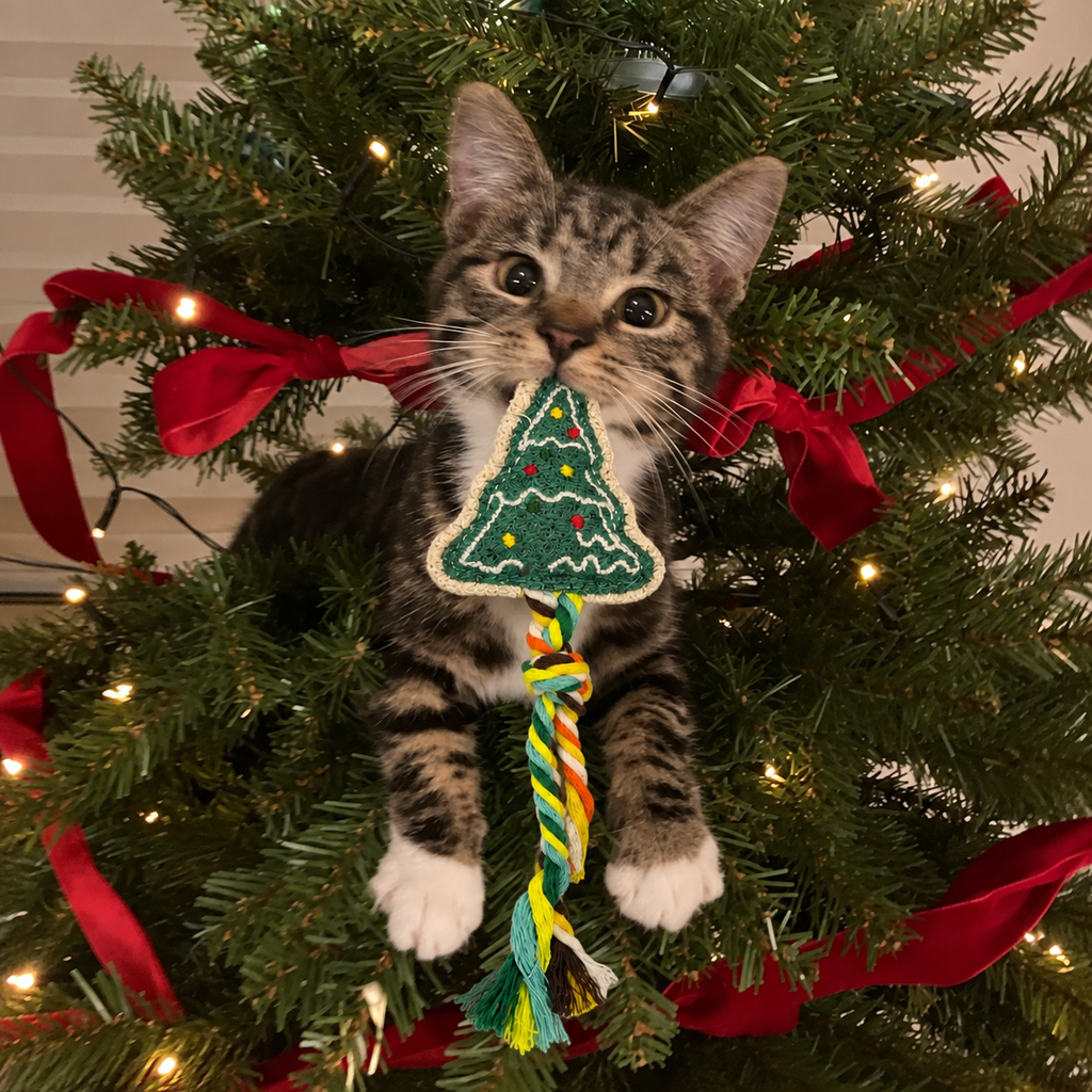 Duidui Christmas Collection – Natural Loofah Cat Toys with Catnip, Christmas Cat Toys, Chew & Enrichment Toys