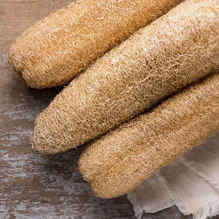 Duidui Natural Loofah Collection – Natural Loofah Cat Toys with Catnip, Food-Shaped Chew & Enrichment Toys